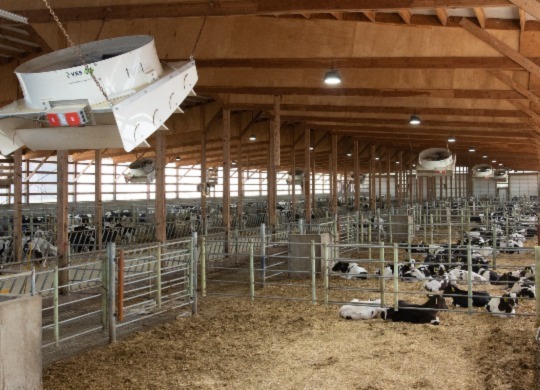 Looking to Tackle Dairy Barn Ventilation in The New Year?