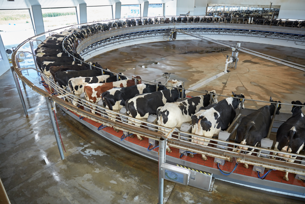 Contemporary Considerations and Opportunities for Milking System Technologies