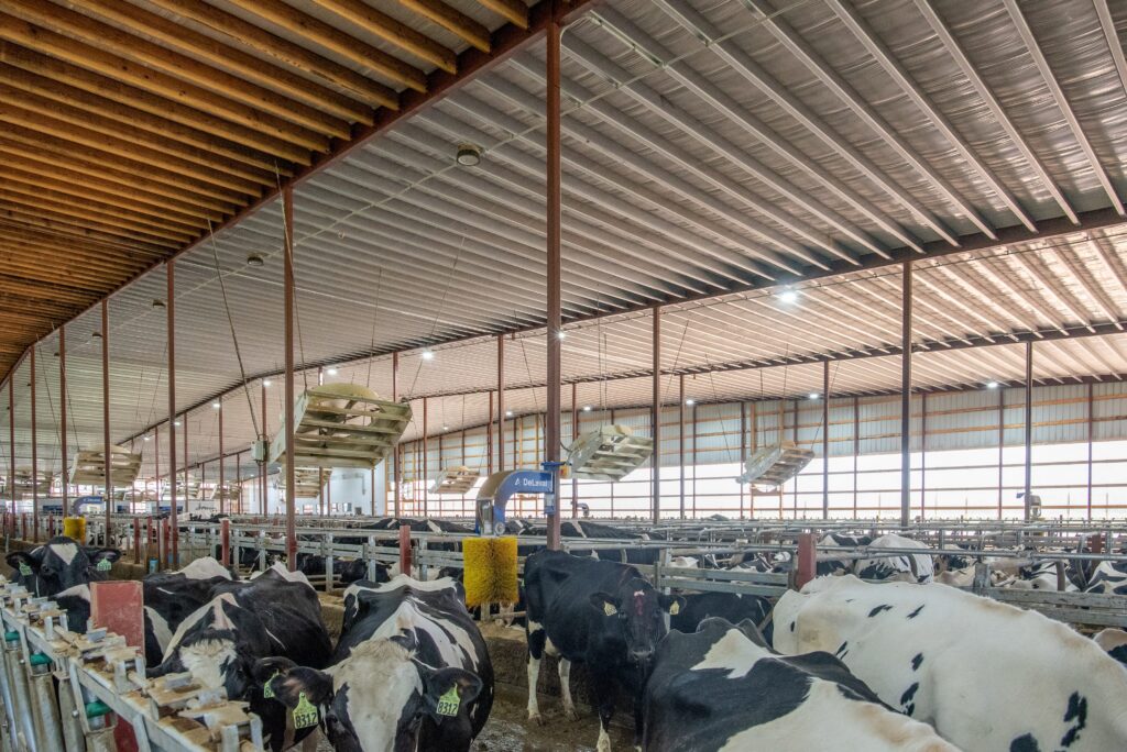 The Next Frontier: Monitoring Behavior at the Individual Level in Group Housed Cattle Using Smart Barn ...